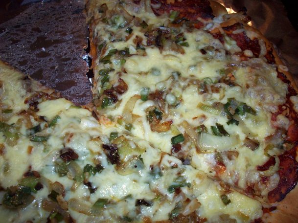 onion and cheese pizza